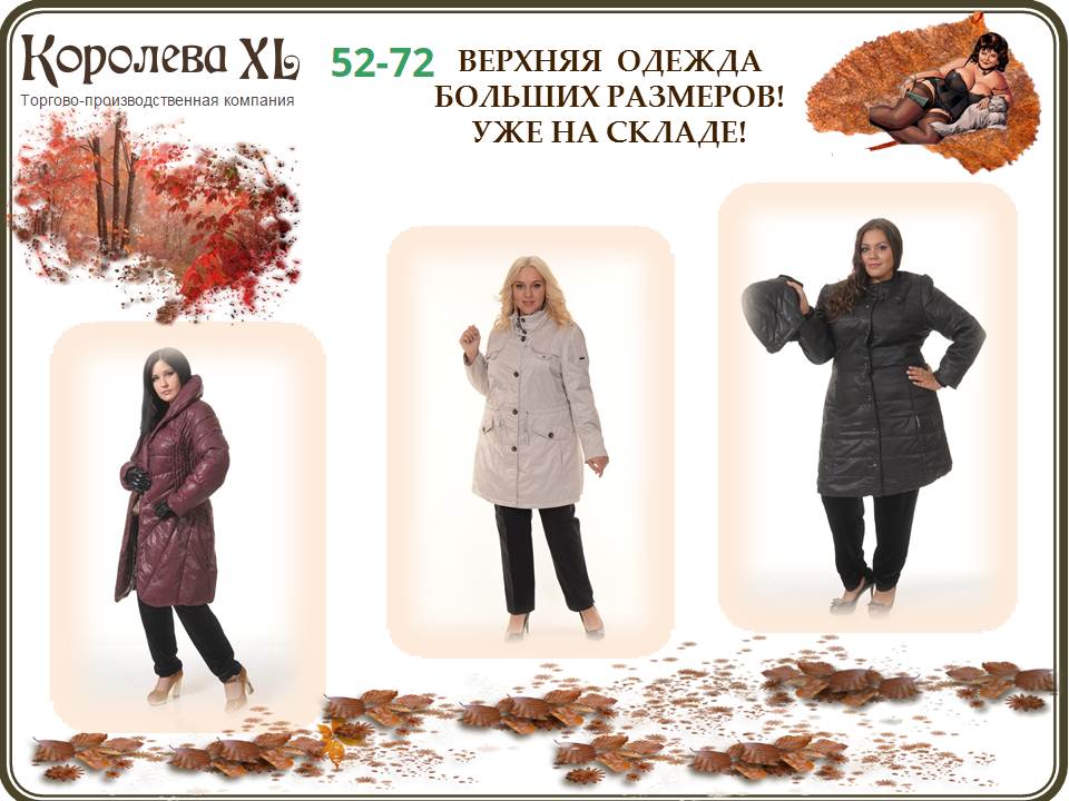 «Без названия»