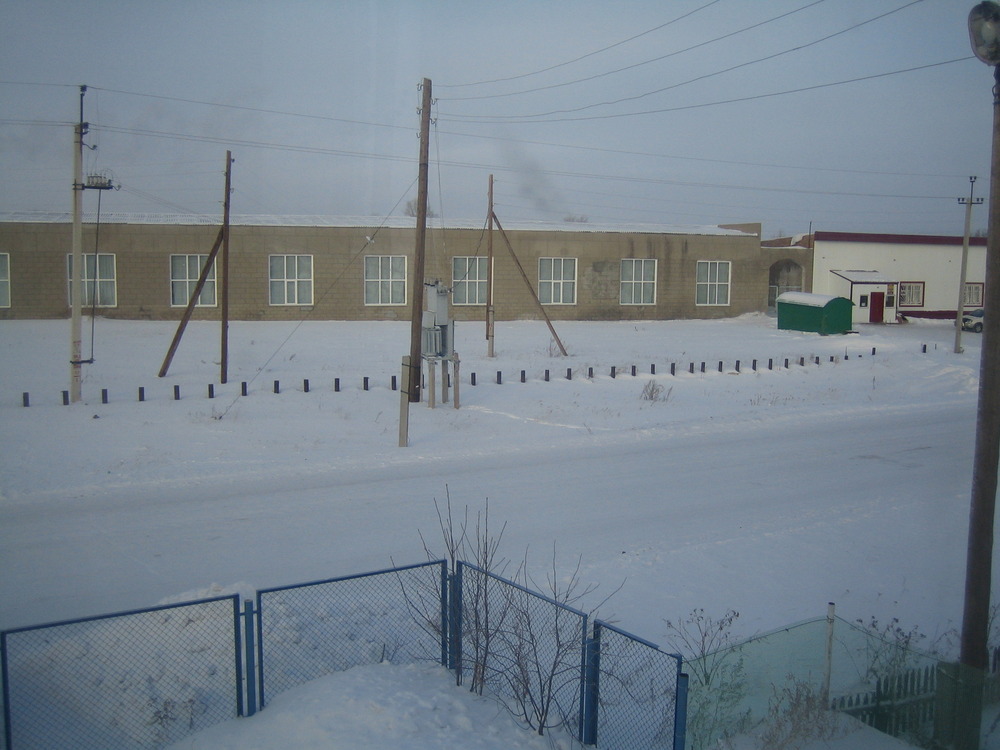 «Без названия»