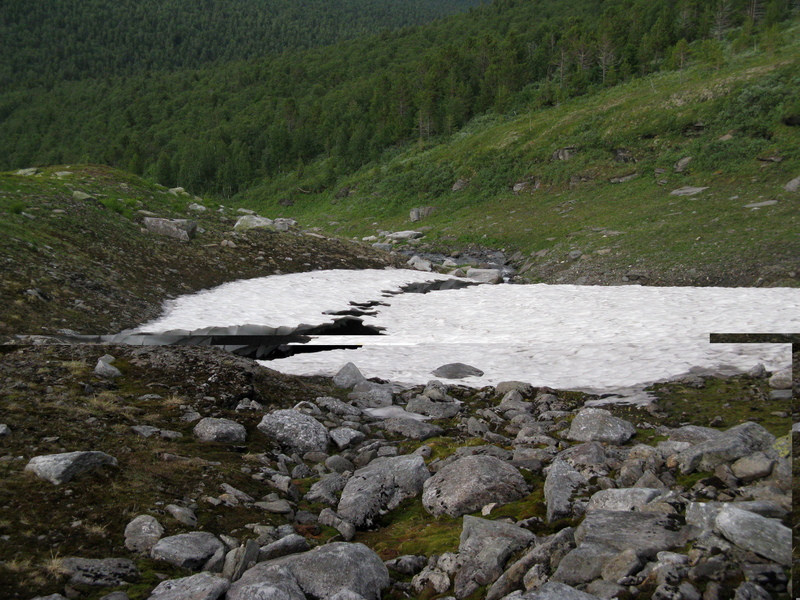 «Снежник»