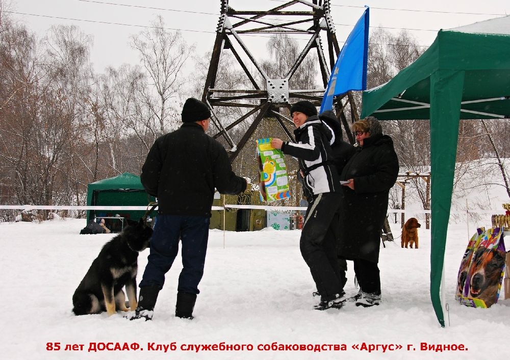 «Без названия»