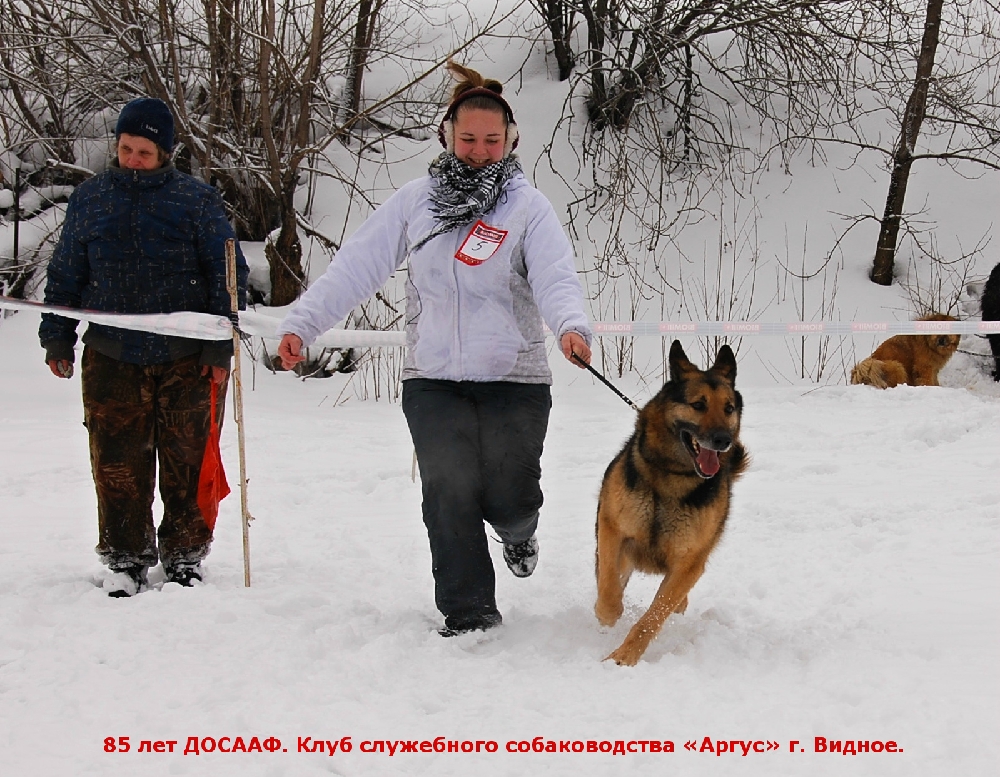 «Без названия»