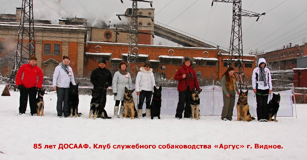 «Без названия»