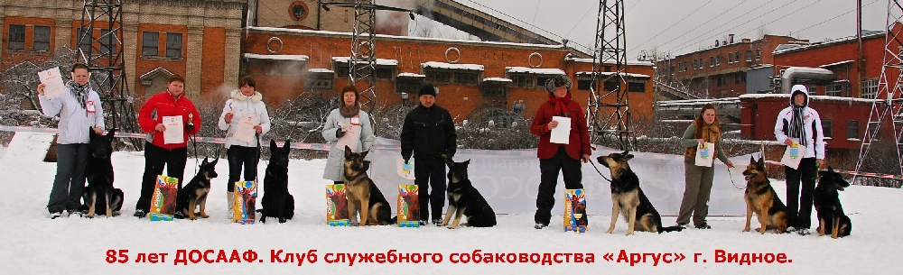 «Без названия»