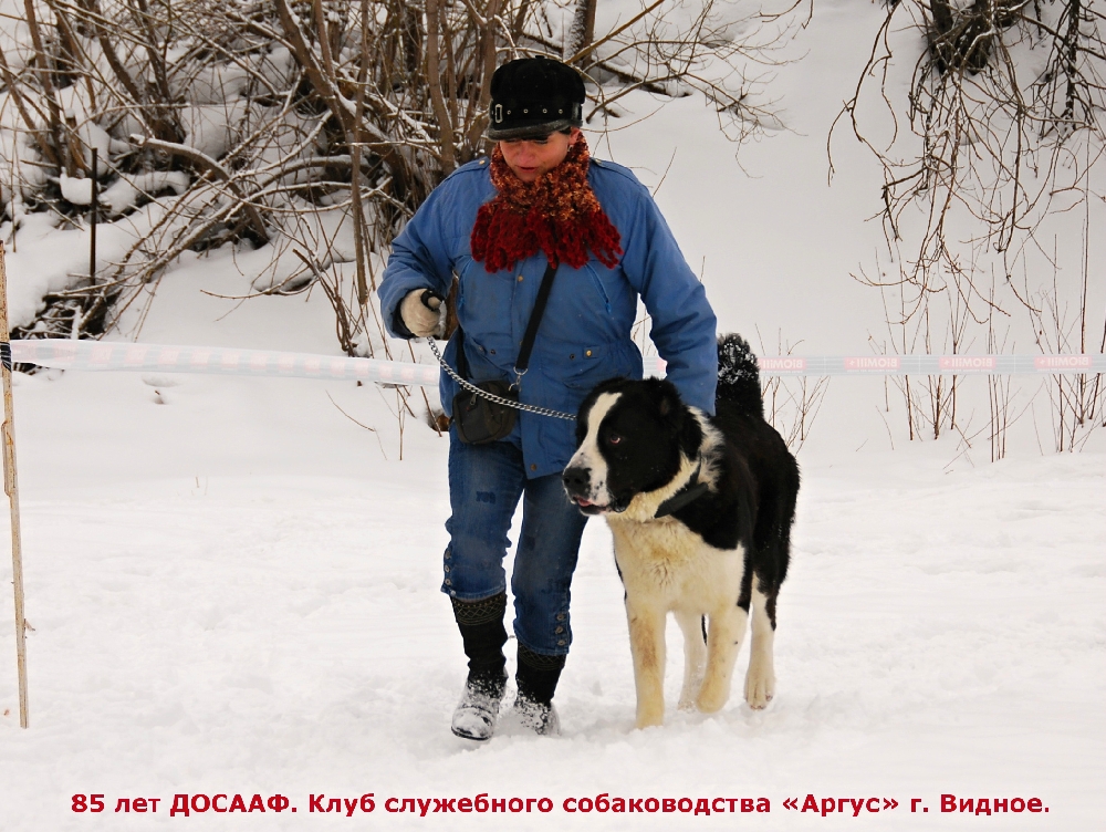 «Без названия»