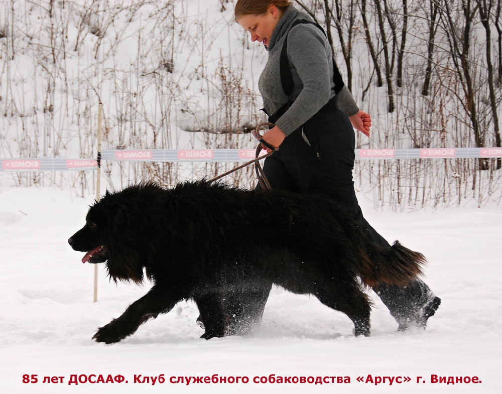 «Без названия»