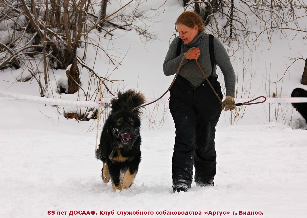 «Без названия»