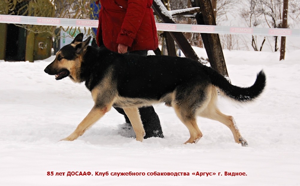 «Без названия»