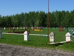 Без названия