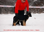 Без названия
