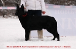 Без названия