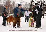 Без названия