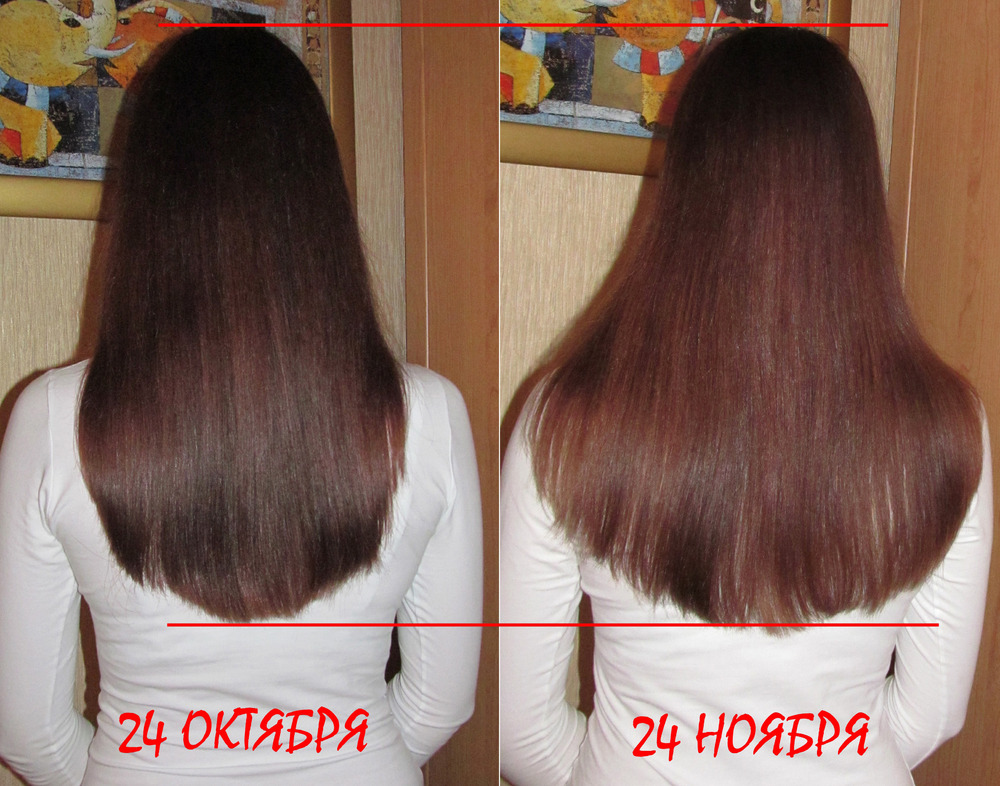 «24 октября-24 ноября (никотинка)»