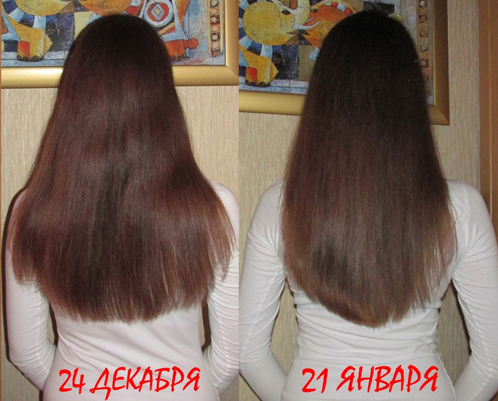 «24 декабря - 21 января»