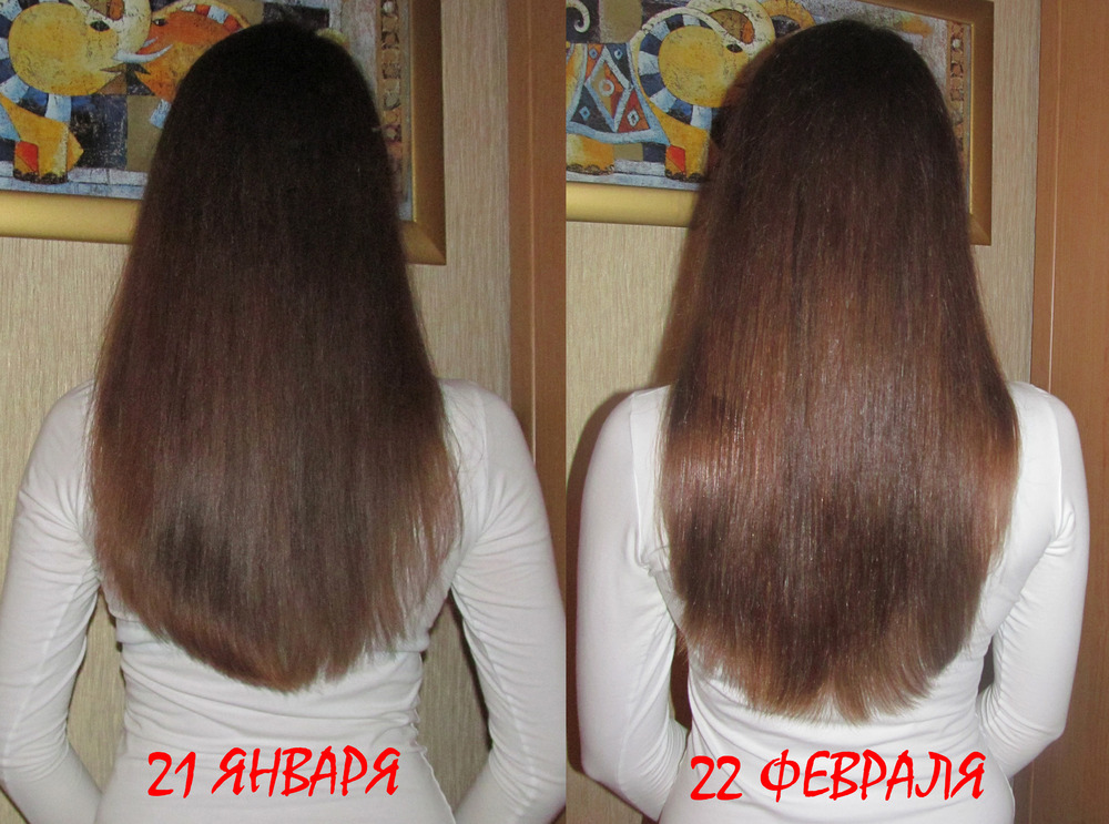 «21 января - 22 февраля»