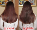 24 ноября - 24 декабря