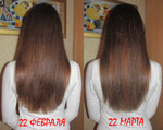 22 февраля - 22 марта