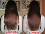 Сентябрь-октябрь 2013