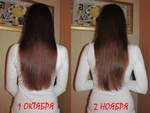 Октябрь-ноябрь 2013
