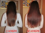 2 ноября-30 ноября 2013