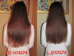 Стрижка декабрь 2013