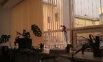 Без названия