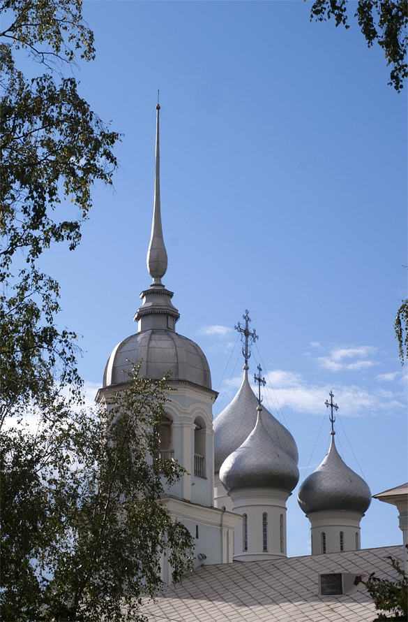 «Без названия»