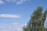 Небо и облака и дерево