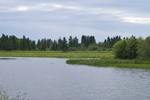 Дача, трава, грядки, река ну и небо