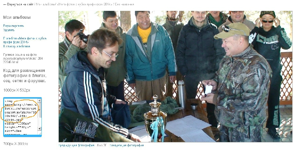 «Без названия»