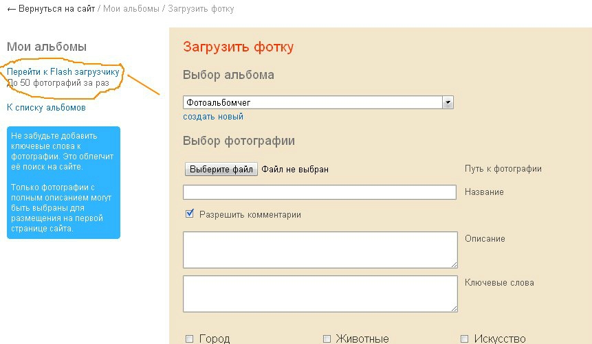 «Без названия»