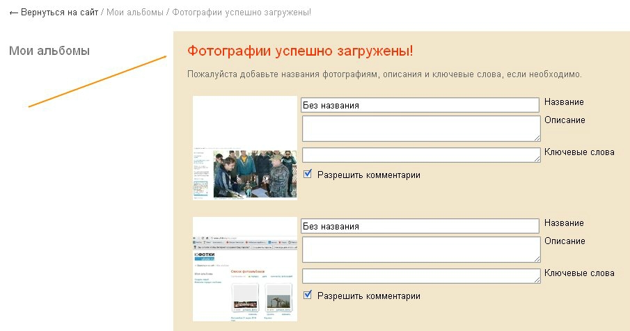«Без названия»