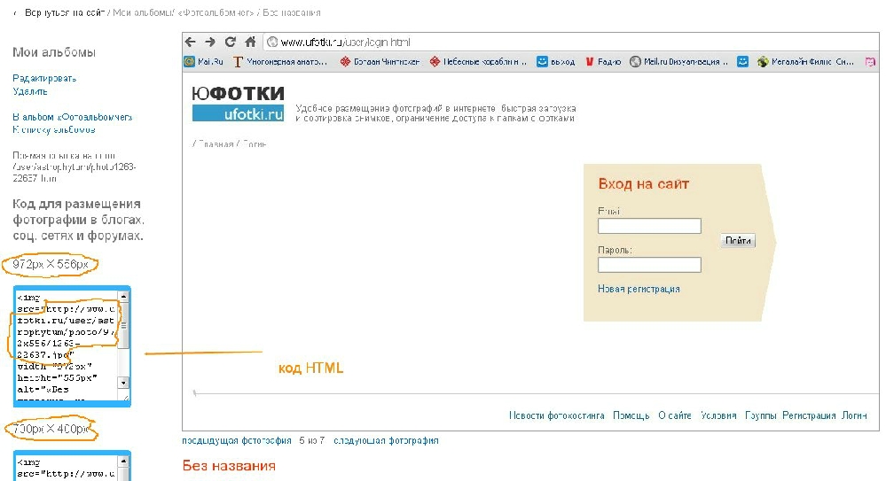 «Без названия»