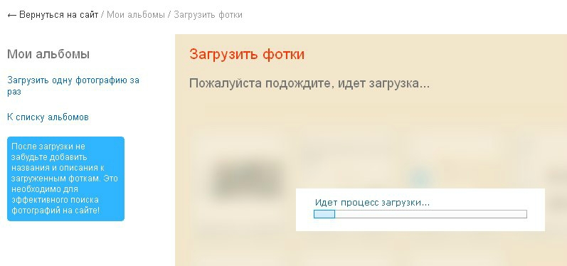 «Без названия»