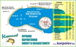 Без названия