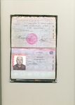 Без названия