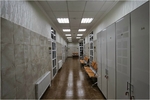 Без названия