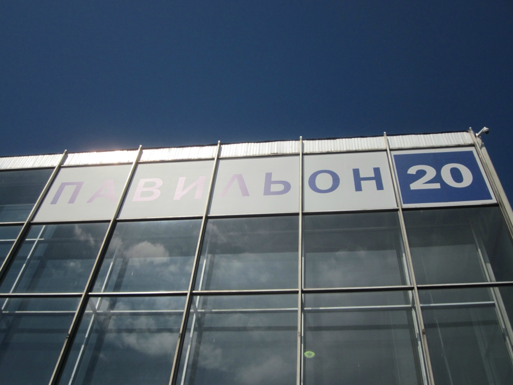 «Без названия»