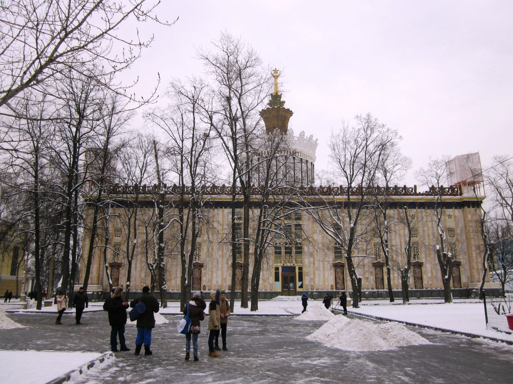 «Без названия»