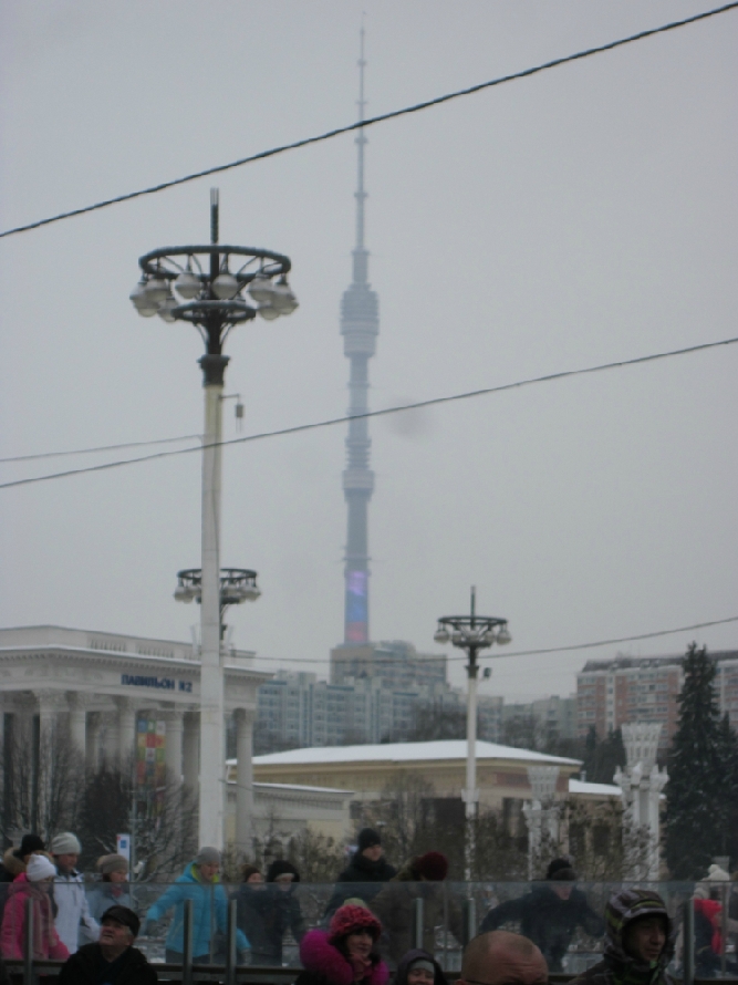 «Без названия»