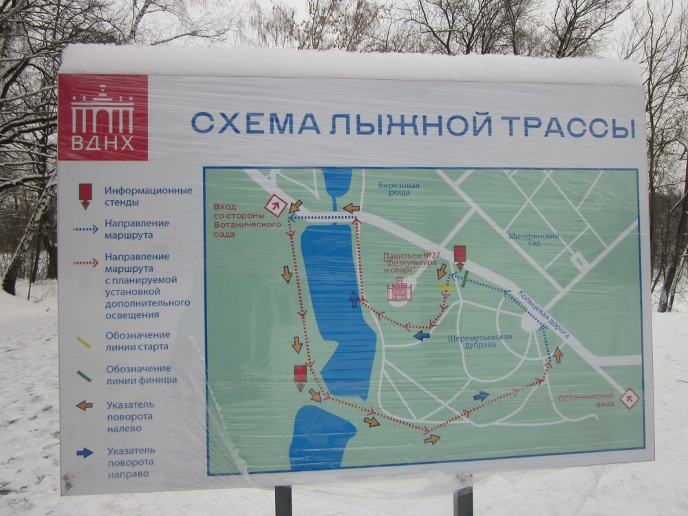 «Без названия»