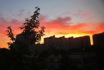 Сокольники