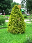Без названия