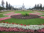 Без названия