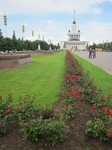 Без названия
