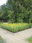 Без названия