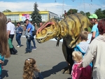 Без названия