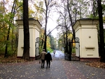Без названия