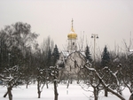 Без названия