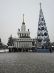 Без названия