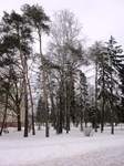 Без названия